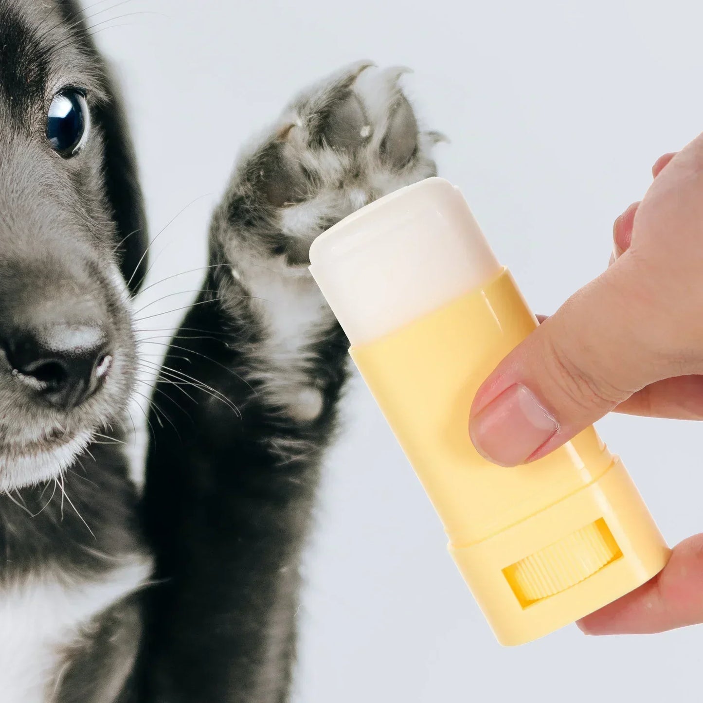 Paw Balm