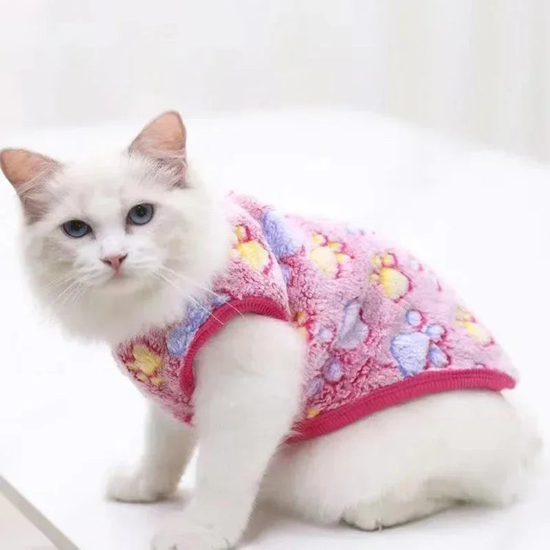 Cartoon Fleece Clothes