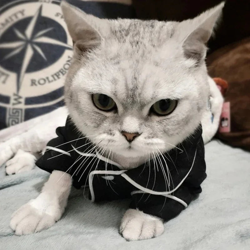 Cat Costume for Winter