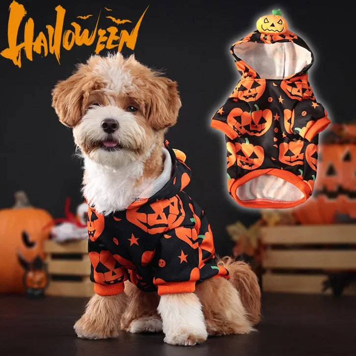 Halloween Hoodie for dogs