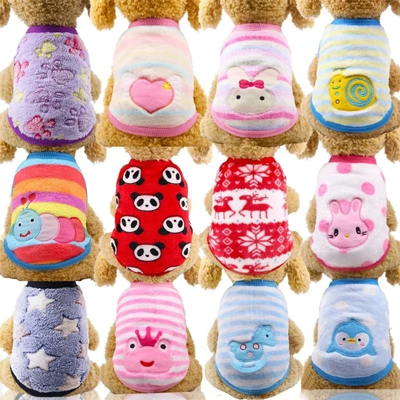 Cartoon Fleece Clothes