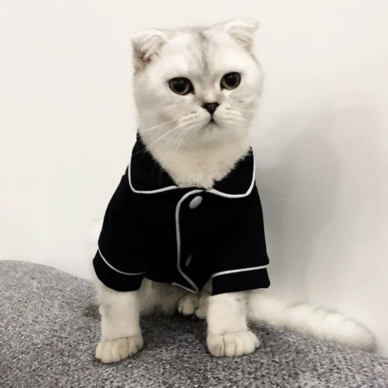 Cat Costume for Winter