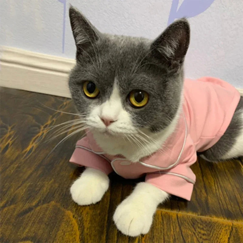 Cat Costume for Winter