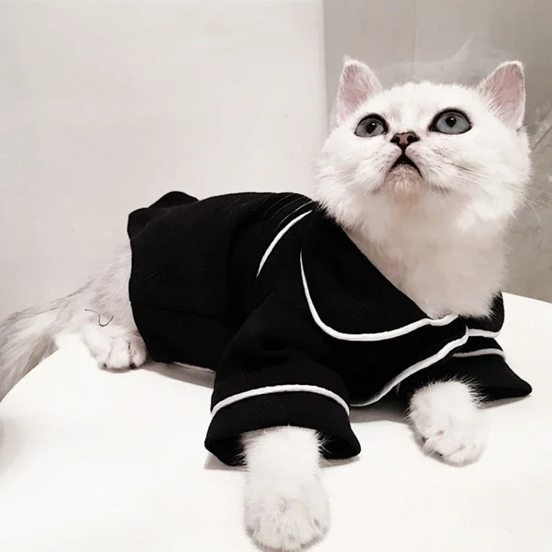 Cat Costume for Winter