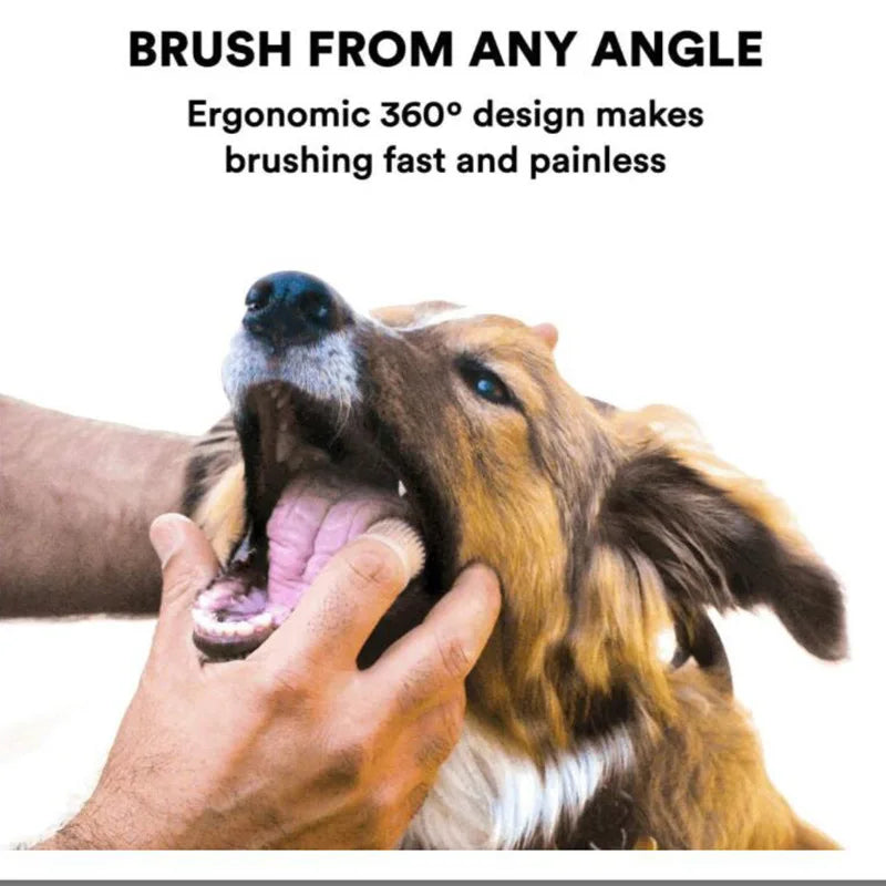 Pet Toothbrush