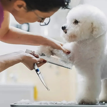 Pet Grooming Scissors