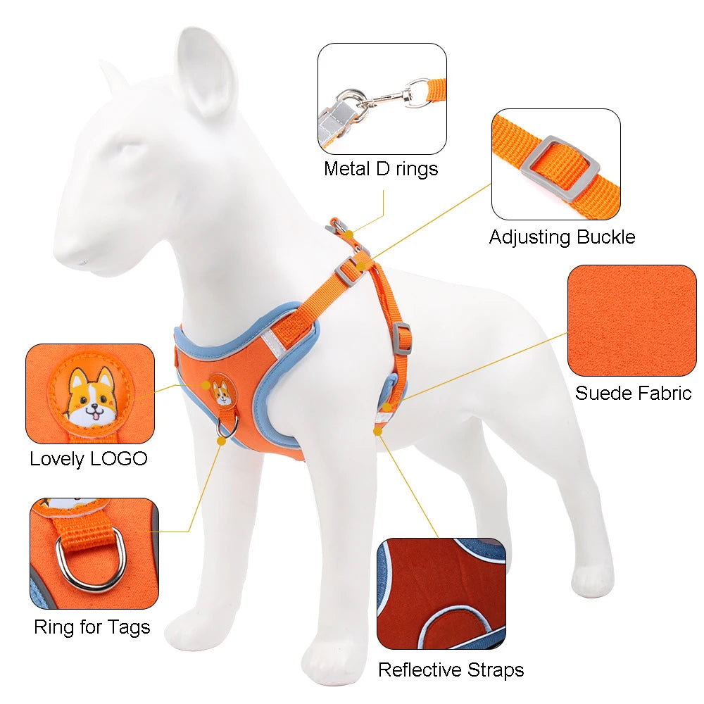 No Pull Harness with Leash for Small Dogs