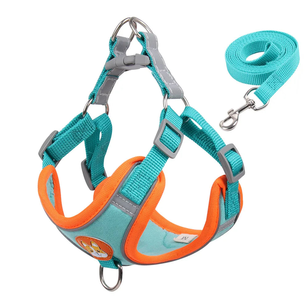 No Pull Harness with Leash for Small Dogs