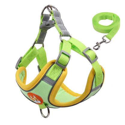 No Pull Harness with Leash for Small Dogs