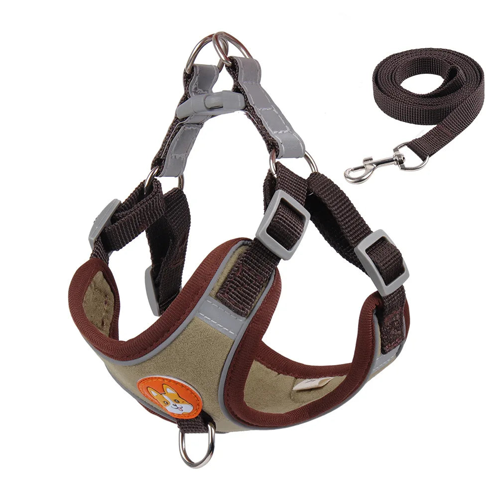 No Pull Harness with Leash for Small Dogs