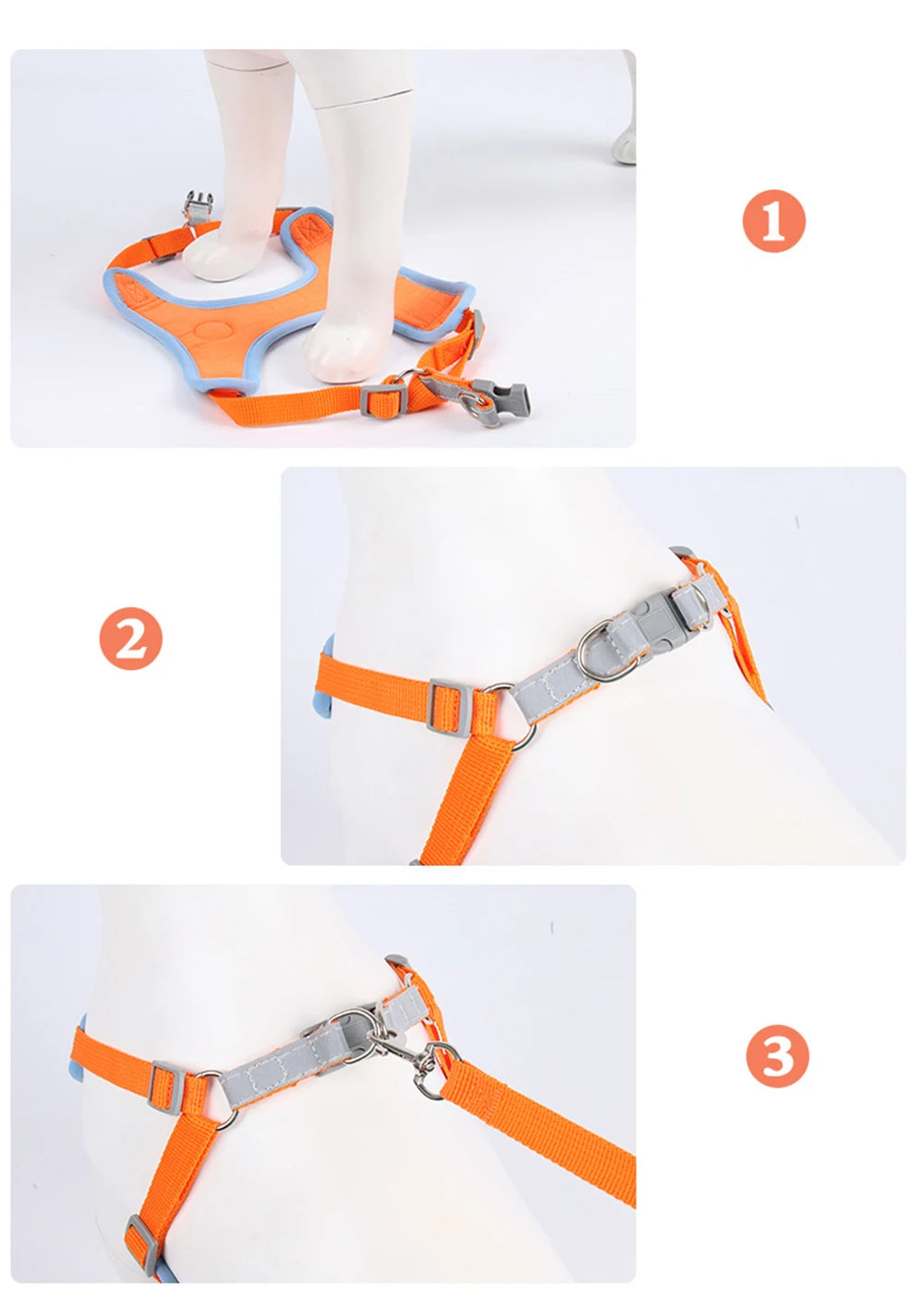 No Pull Harness with Leash for Small Dogs