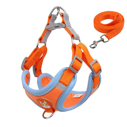 No Pull Harness with Leash for Small Dogs