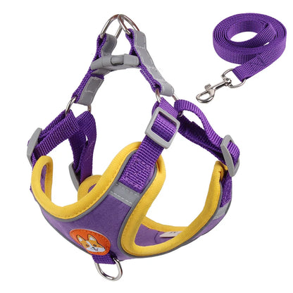 No Pull Harness with Leash for Small Dogs