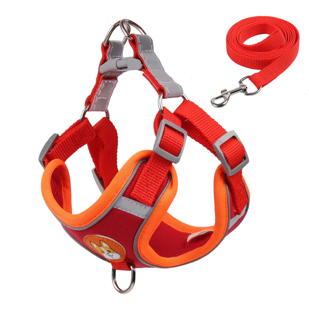 No Pull Harness with Leash for Small Dogs