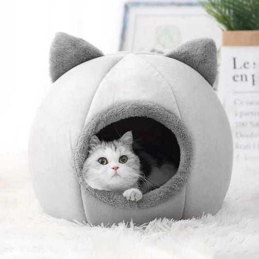 Cat bed 