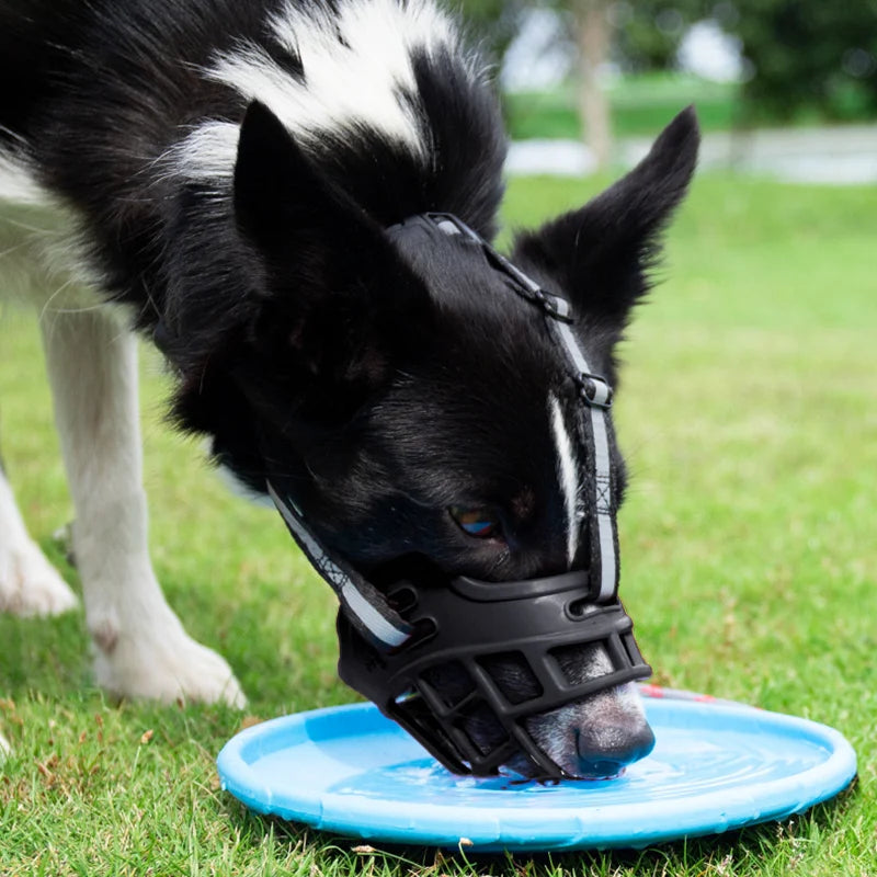 Adjustable & Breathable Dog Muzzle