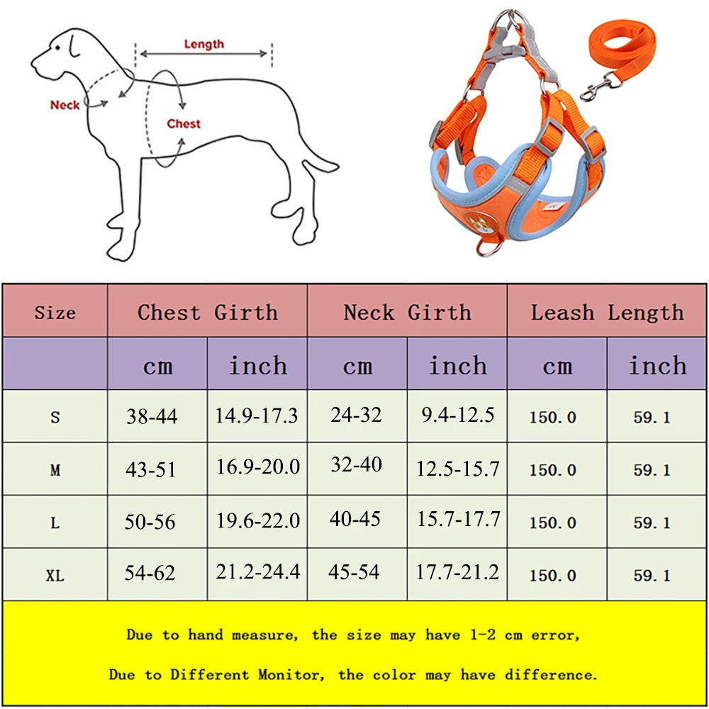 No Pull Harness with Leash for Small Dogs