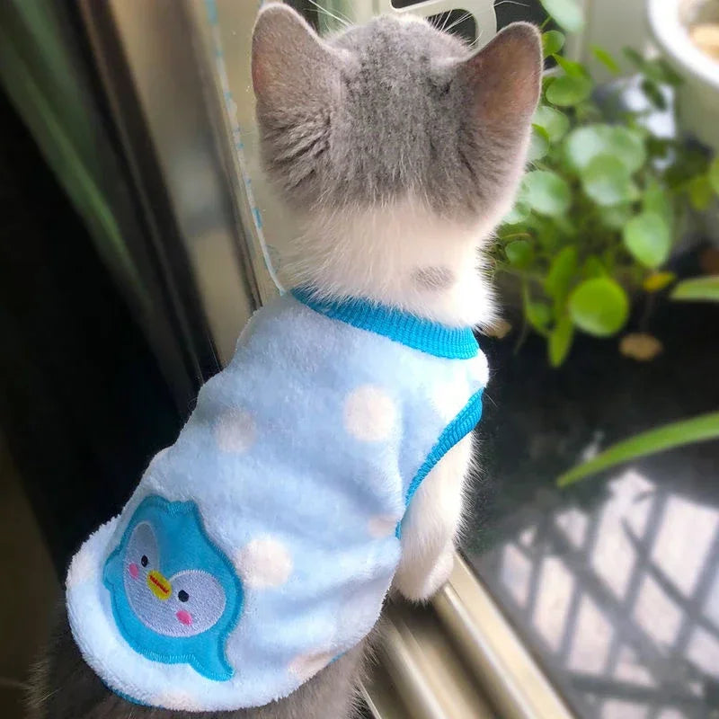 Cartoon Fleece Clothes