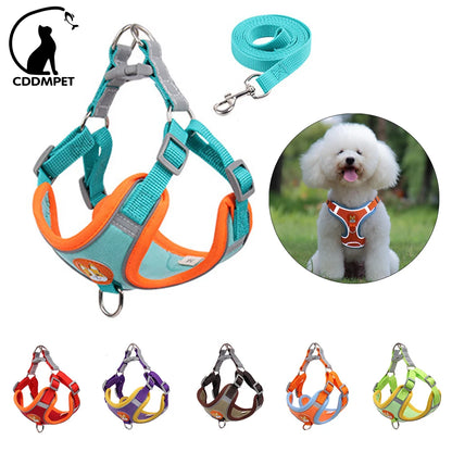 No Pull Harness with Leash for Small Dogs