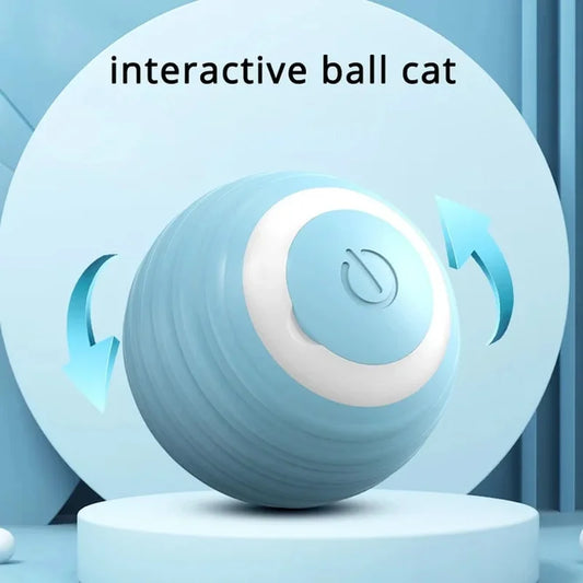 Interactive Ball Roll