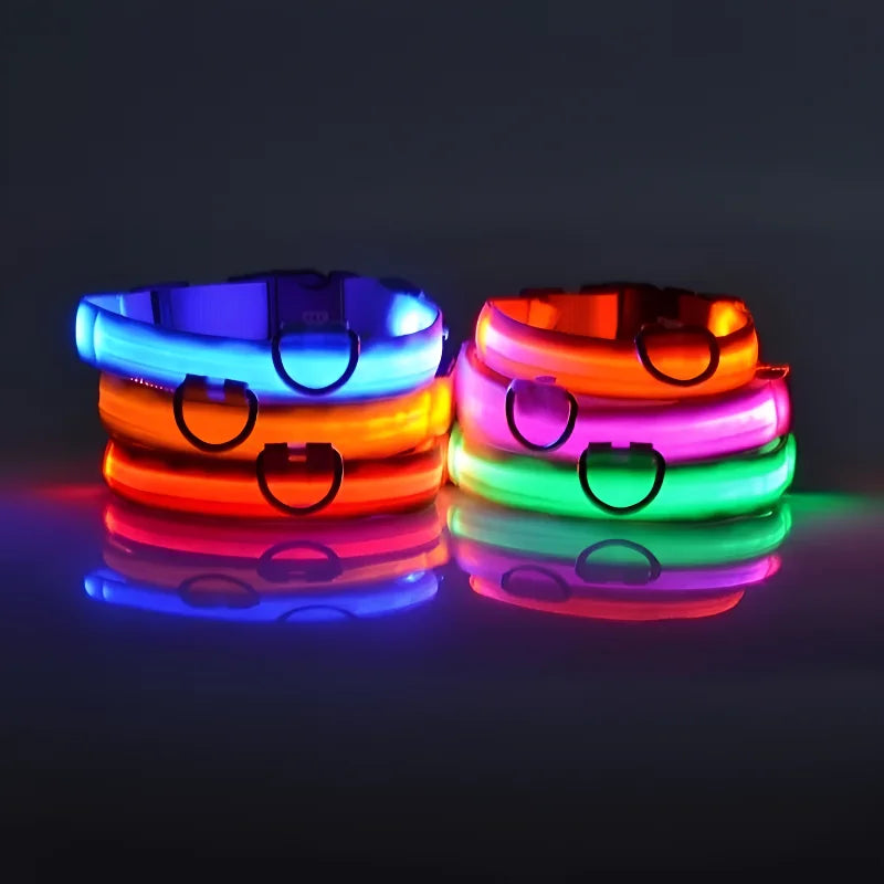 Nylon LED Collar