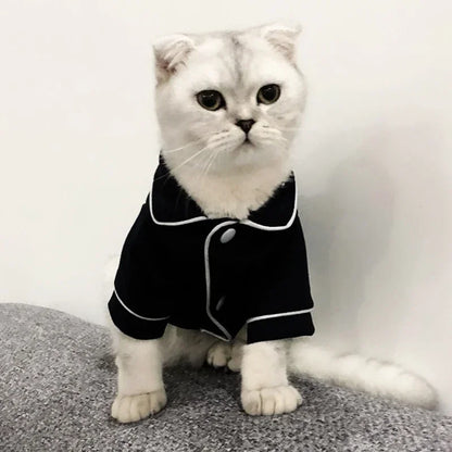 Cat Costume for Winter