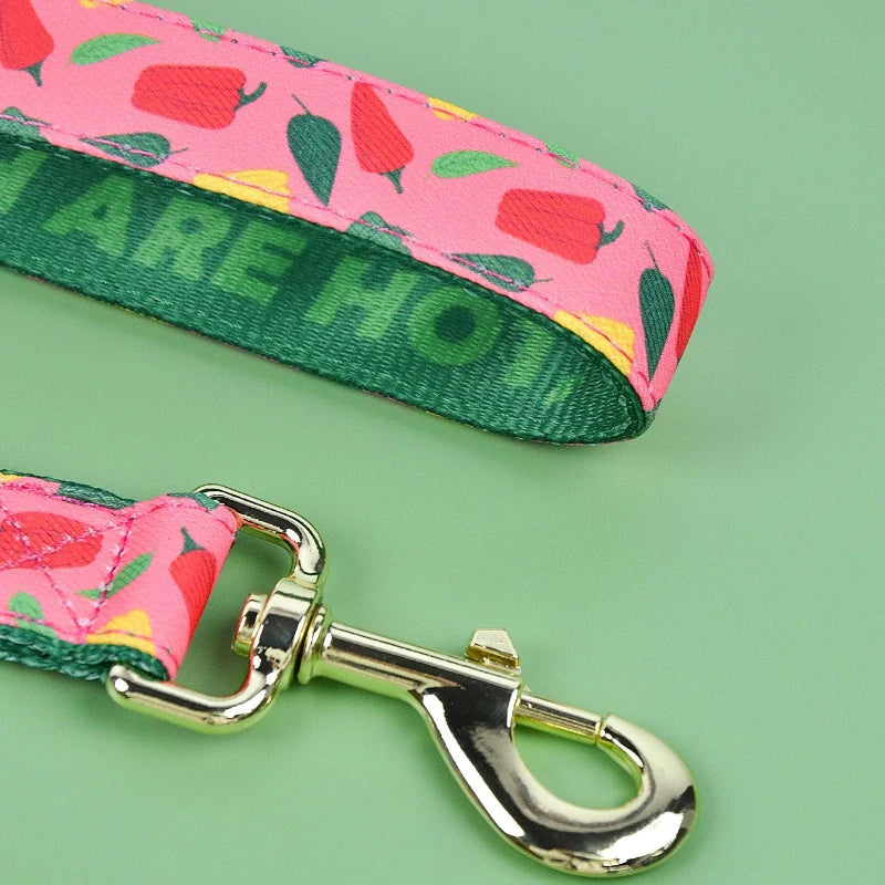 Truelove Pet Leash